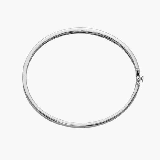 Silver necklace on a white background