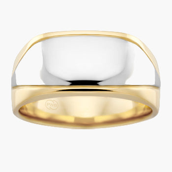 Gold and silver ring on a white background